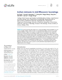 Lichen Mimesis in Mid-Mesozoic Lacewings Hui Fang1,2, Conrad C Labandeira1,2,3, Yiming Ma1, Bingyu Zheng1, Dong Ren1, Xinli Wei4*, Jiaxi Liu1*, Yongjie Wang1*