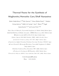 Thermal Route for the Synthesis of Maghemite/Hematite Core/Shell Nanowires