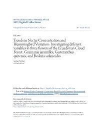 Trends in Nectar Concentration and Hummingbird Visitation