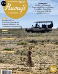 Hamaji Magazine N°29, Surtout Continuez De the African Continent, Primarily in the DRC Where We Are Located, Très Fort, Très Fort Yes, Let It Get Heavy Again