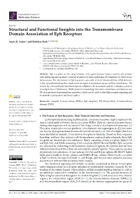 Structural and Functional Insights Into the Transmembrane Domain Association of Eph Receptors