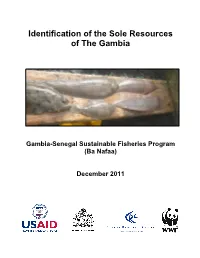 Identification of the Sole Resources of the Gambia