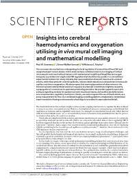Insights Into Cerebral Haemodynamics and Oxygenation Utilising in Vivo