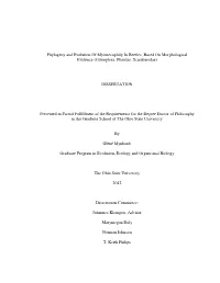 Phylogeny and Evolution of Myrmecophily in Beetles, Based on Morphological Evidence (Coleoptera: Ptinidae, Scarabaeidae)