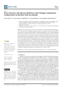 Trees Increase Ant Species Richness and Change Community Composition in Iberian Oak Savannahs