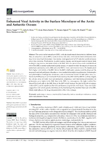Enhanced Viral Activity in the Surface Microlayer of the Arctic and Antarctic Oceans