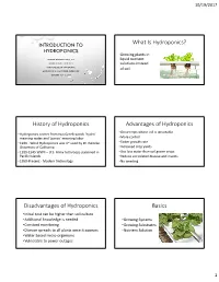 Intro to Hydroponics (PDF)