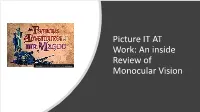 Picture IT at Work: an Inside Review of Monocular Vision