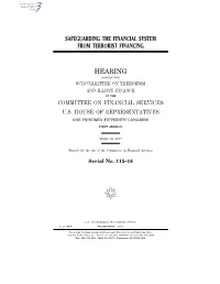 Safeguarding the Financial System from Terrorist Financing