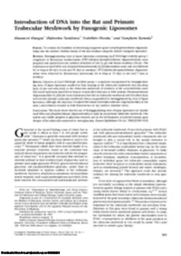 Introduction of DNA Into the Rat and Primate Trabecular Meshwork by Fusogenic Liposomes