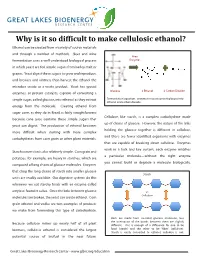Why Is It So Difficult to Make Cellulosic Ethanol? Ethanol Can Be Created from a Variety of Source Materials and Through a Number of Methods