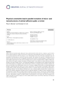 And Nanostructures of Animal Adhesive Pads: a Review