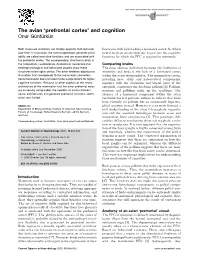 The Avian 'Prefrontal Cortex' and Cognition