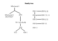 Family Tree Whirlwind I Whirlwind II AN/FSQ-7 MTC TX-1 (Not