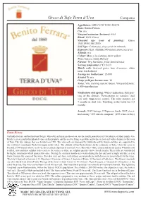 Greco Di Tufo Terra D'uva
