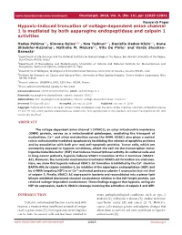 Hypoxic-Induced Truncation of Voltage-Dependent Anion Channel 1 Is Mediated by Both Asparagine Endopeptidase and Calpain 1 Activities