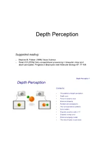 Depth Perception 0