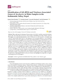 Identification of 16S Rrna and Virulence-Associated Genes Of