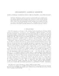 Phylogenetic Algebraic Geometry