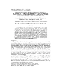 Plectological and Molecular Identification Of
