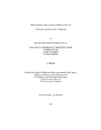 Processing and Characterization Of