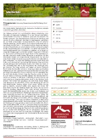 Radfahren Bierkellerrunde Strullendorf