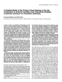 A Detailed Model of the Primary Visual Pathway in The