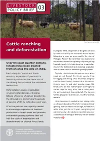 Cattle Ranching and Deforestation