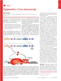 Epigenetics: Core Misconcept