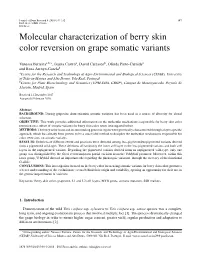 Molecular Characterization of Berry Skin Color Reversion on Grape Somatic Variants