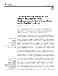 Thinning Partially Mitigates the Impact of Atlantic Forest Replacement by Pine Monocultures on the Soil Microbiome