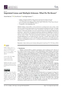 Imprinted Genes and Multiple Sclerosis: What Do We Know?