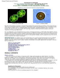 Biology of Protists Video and DVD Guide. the BIOLOGY of PROTISTS Produced by Biomedia ASSOCIATES ©2003 -- Running Time 20 Minutes