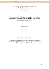 Characterization of Campylobacter Jejuni Strains from Different Hosts and Modelling the Survival of C
