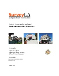 Surveyla Survey Report Template
