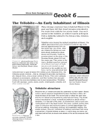 Geobit 6: the Trilobite