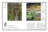 Local Heroes Traditional Methods