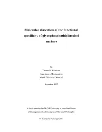 Molecular Dissection of the Functional Specificity of Glycophosphatidylinositol Anchors