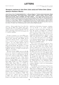 Neospora Caninum in Axis Deer (Axis Axis) and Fallow Deer (Dama Dama) in Northern Mexico
