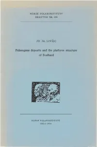 Palaeogene Deposits and the Platform Structure of Svalbard