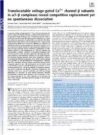 Translocatable Voltage-Gated Ca2+ Channel Β Subunits in Α1–Β
