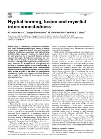 Hyphal Homing, Fusion and Mycelial Interconnectedness