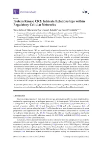 Protein Kinase CK2: Intricate Relationships Within Regulatory Cellular Networks