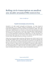 Rolling Circle Transcription on Smallest Size Double Stranded DNA Minicircles