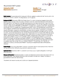 Active Motif Data Sheet