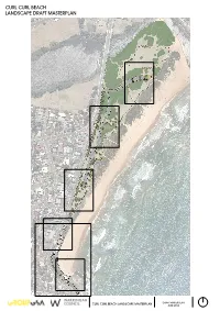 Curl Curl Beach Landscape Draft Masterplan