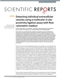 Detecting Individual Extracellular Vesicles Using a Multicolor in Situ