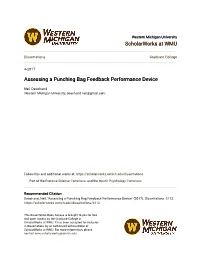 Assessing a Punching Bag Feedback Performance Device