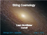 String Cosmology”  “Should Be an Overview of the Whole Activity!” New Ideas About Gravity Cf