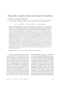 Fitting Together: Copulatory Linking in Some Neotropical Chrysomeloidea